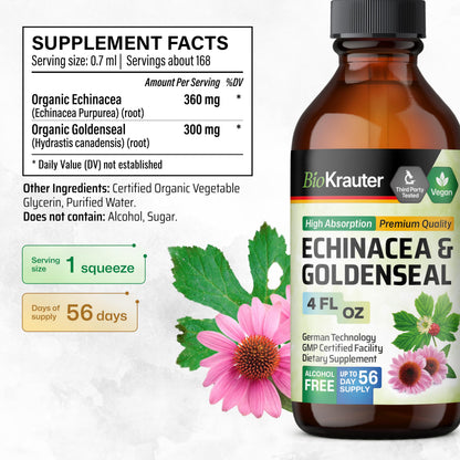 BIO KRAUTER Echinacea & Goldenseal Liquid Extract – Vegan, Alcohol-Free Tincture – 4 Fl Oz