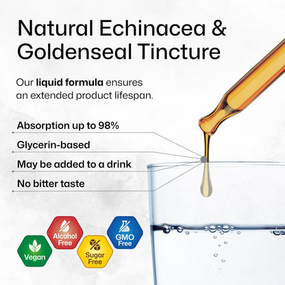 BIO KRAUTER Echinacea & Goldenseal Liquid Extract – Vegan, Alcohol-Free Tincture – 4 Fl Oz