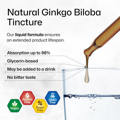 BIO KRAUTER Ginkgo Biloba Extract - Liquid Brain Support Drops, Vegan & Sugar-Free, 2 fl oz