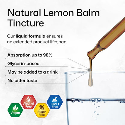 BIO KRAUTER Lemon Balm Tincture 680 mg – Vegan, Alcohol-Free Sleep Support