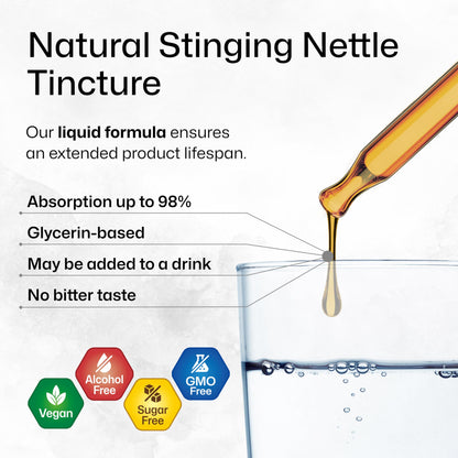BIO KRAUTER Stinging Nettle Tincture - Urinary Health Drops | Vegan, Sugar & Alcohol Free 4 Fl Oz