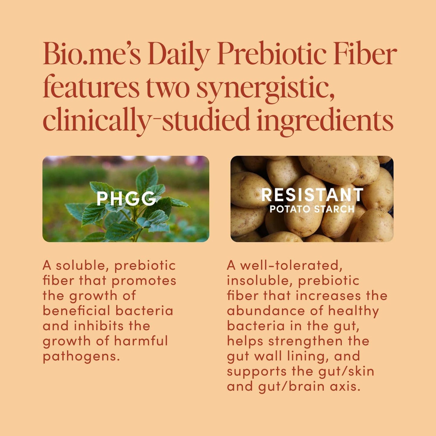 Bio.me Daily Prebiotic Fiber Powder – Chai, 7g per Serving | Digestive & Gut Health