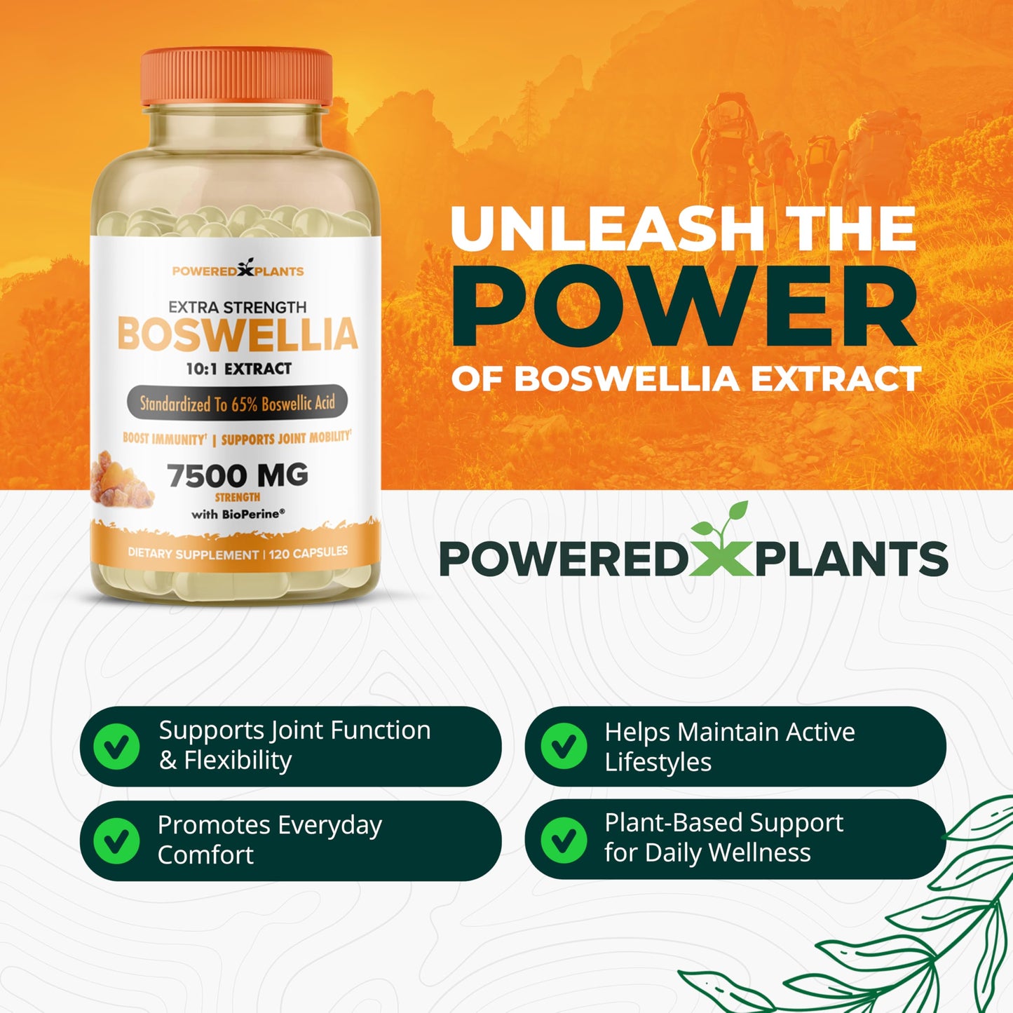 Boswellia Serrata Extract Joint Support – Powered by Plants | 65% Boswellic Acids + BioPerine | 120 Vegan Capsules