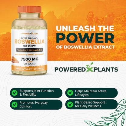 Boswellia Serrata Extract Joint Support – Powered by Plants | 65% Boswellic Acids + BioPerine | 120 Vegan Capsules