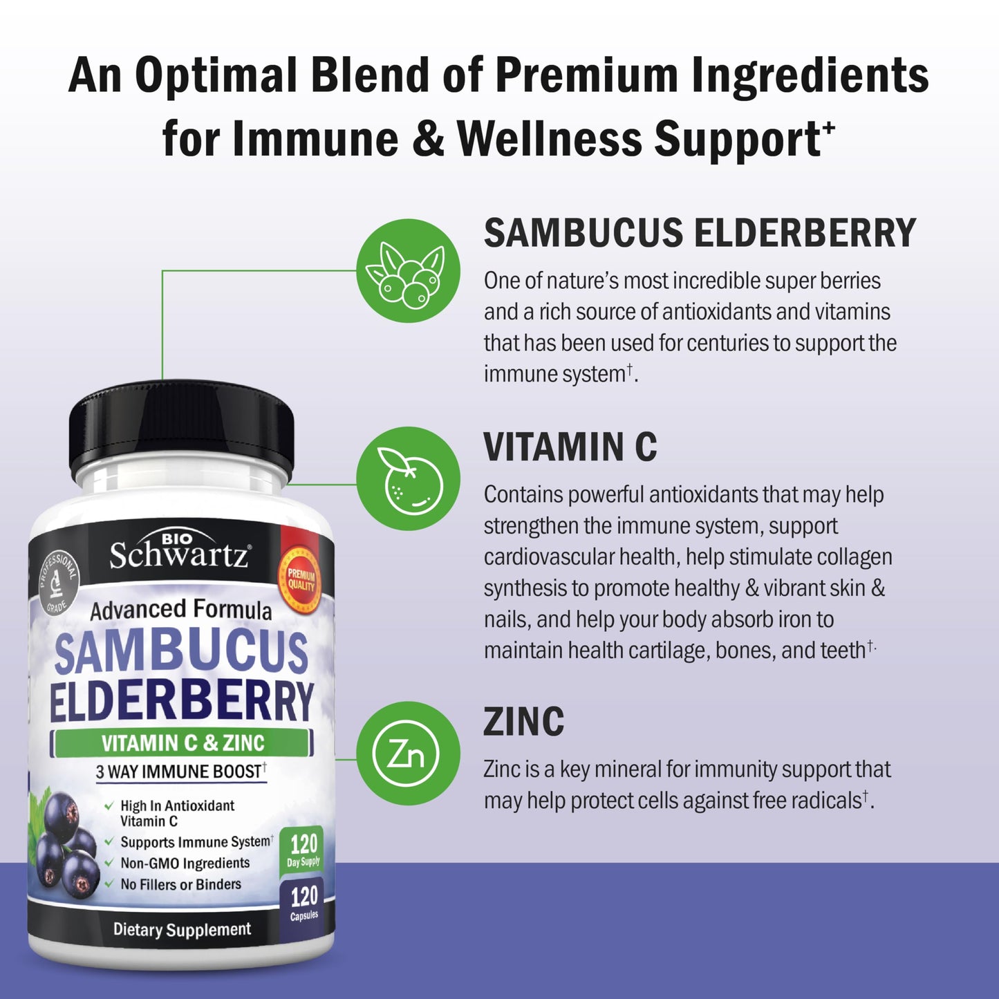 BioSchwartz Elderberry Capsules with Zinc & Vitamin C – Immune Support for Adults (120 Count)
