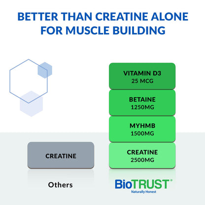 BioTrust Ageless Muscle Builder – Creatine HMB Powder with Vitamin D3 (Fruit Punch, 30 Servings)
