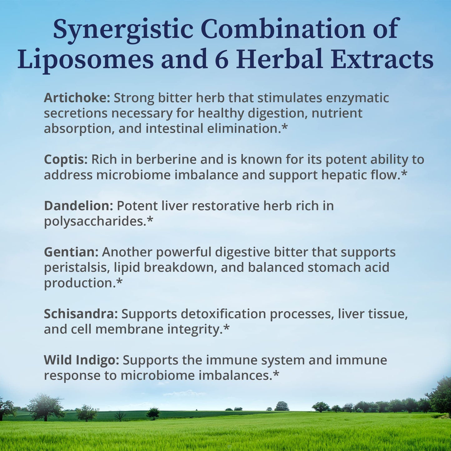 BioPure Livessence Herbal Tincture – 6-Extract Liposomal Liver, Gallbladder & Gut Support | 4 oz