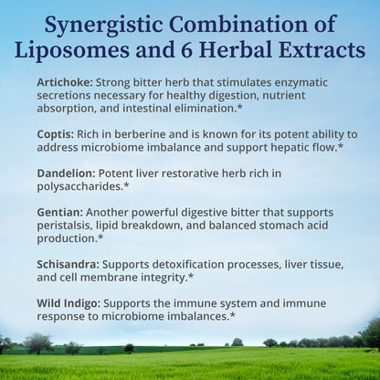 BioPure Livessence Herbal Tincture – 6-Extract Liposomal Liver, Gallbladder & Gut Support | 4 oz