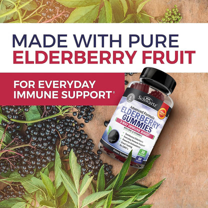 BioSchwartz Elderberry Gummies with Zinc & Vitamin C – Immune Support for Adults & Kids | 60 Count