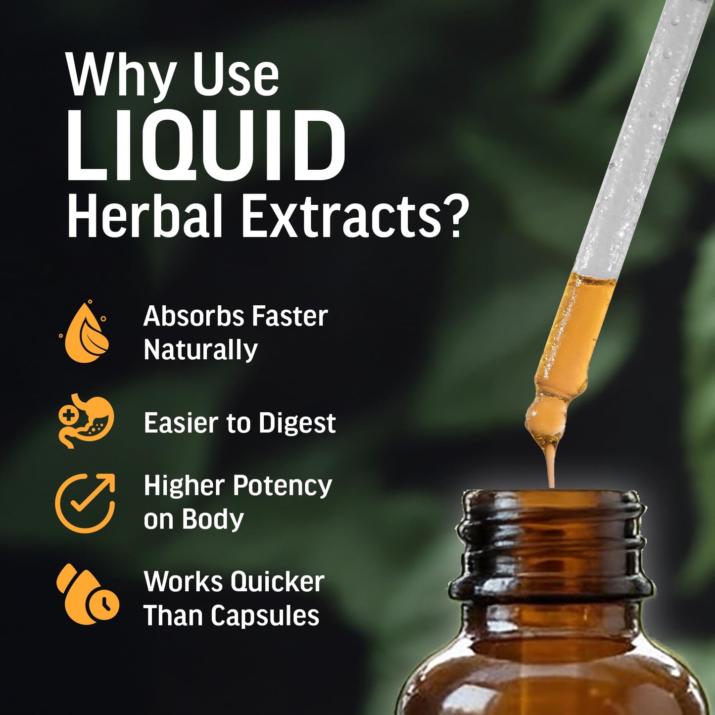 BIOACTIVE Liquid Ashwagandha Drops – Testosterone Support & Adaptogen