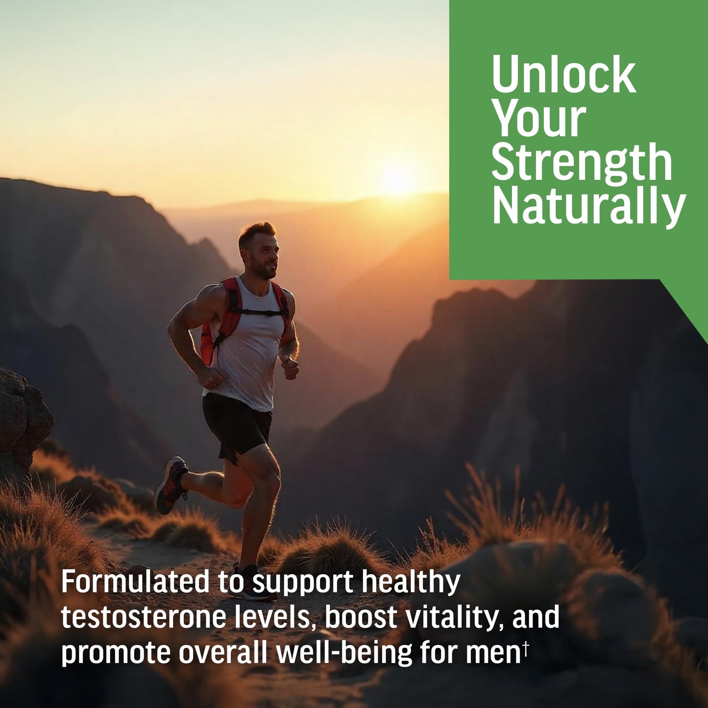BIOACTIVE Liquid Ashwagandha Drops – Testosterone Support & Adaptogen