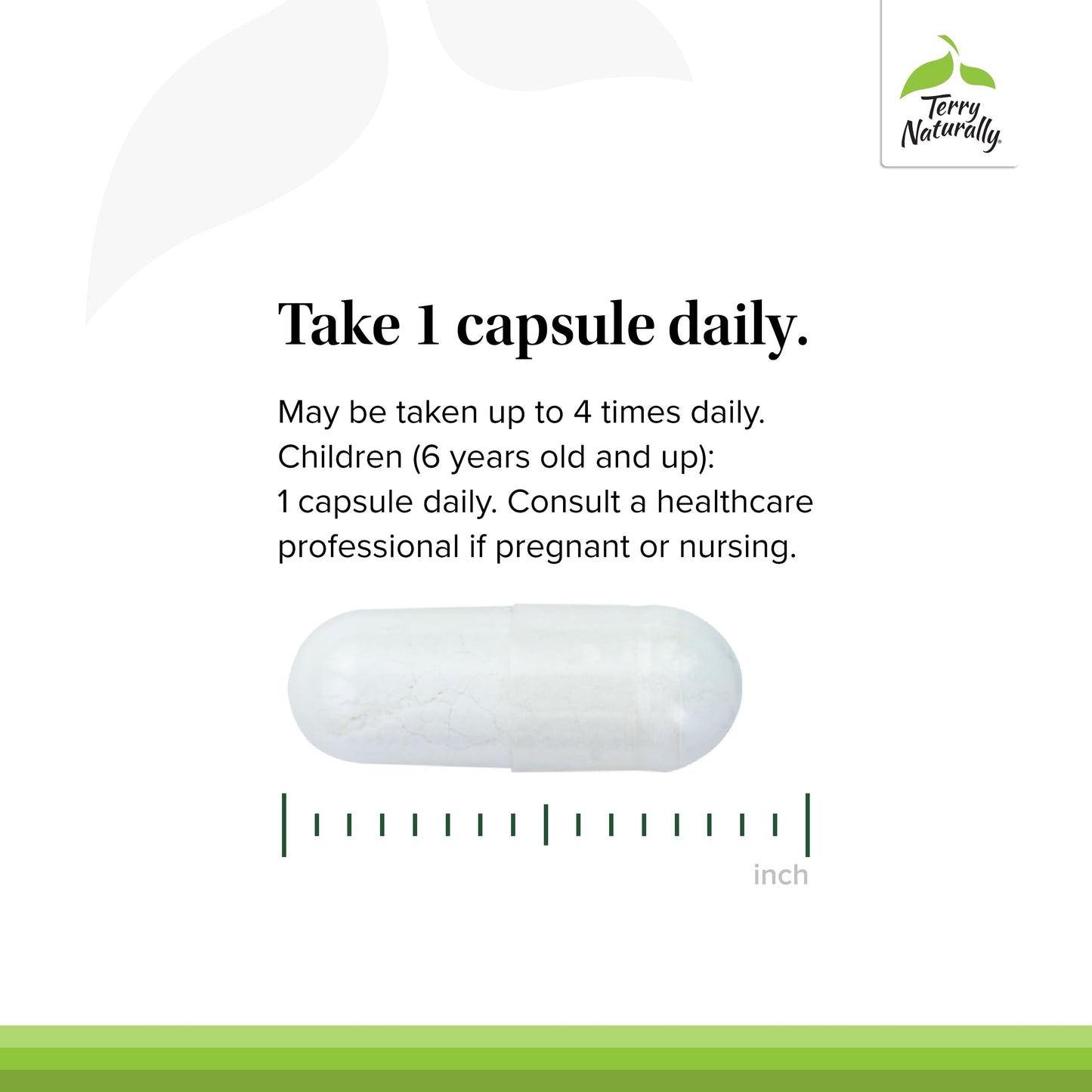 BioActive Magnesium Complex – Bone & Heart Health Support, P-5-P B6, Zinc (60 Vegan Capsules) | Terry Naturally