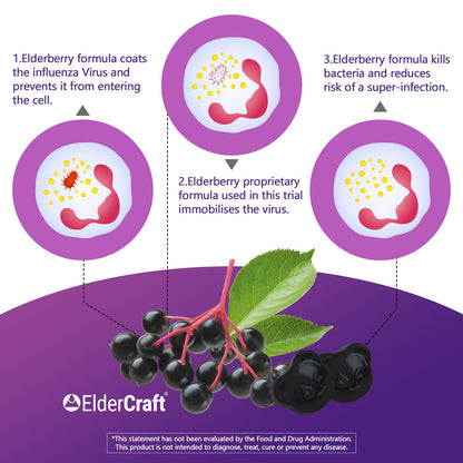 Biobor Natural Black Elderberry Gummies 150mg – ElderCraft® Immune Support with Vitamin C & Zinc (60 Count)