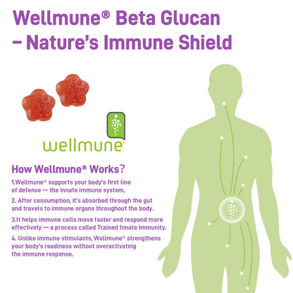 Biobor 4 in 1 Immunity Gummies – Wellmune, KSM-66, Vitamin C & D3 (Strawberry, 60 Count)