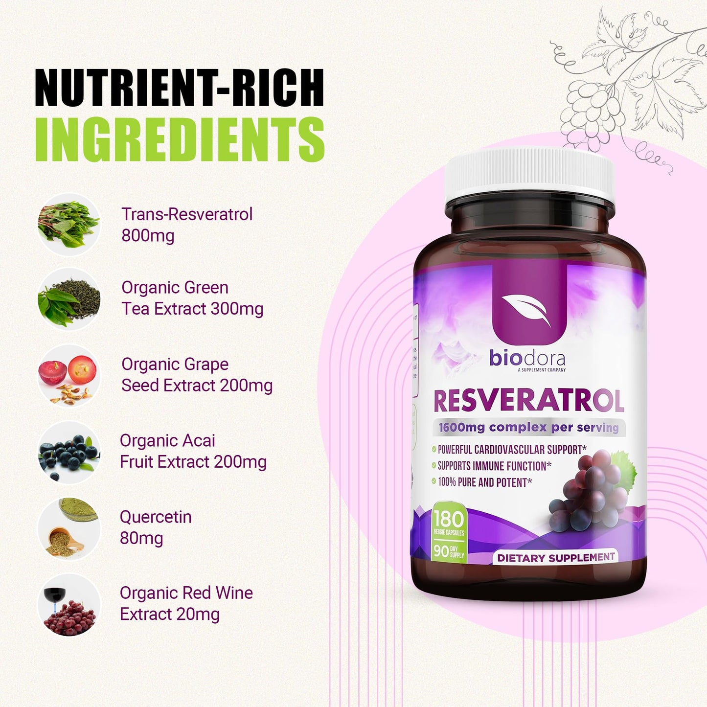 Biodora Resveratrol 1600mg – Trans-Resveratrol Antioxidant with Green Tea, Grape Seed & Quercetin | 180 Capsules