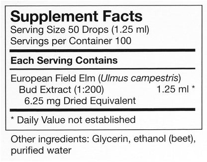 UNDA Gemmo Therapy Ulmus Campestris | Elm Bud Extract 4.2 fl oz