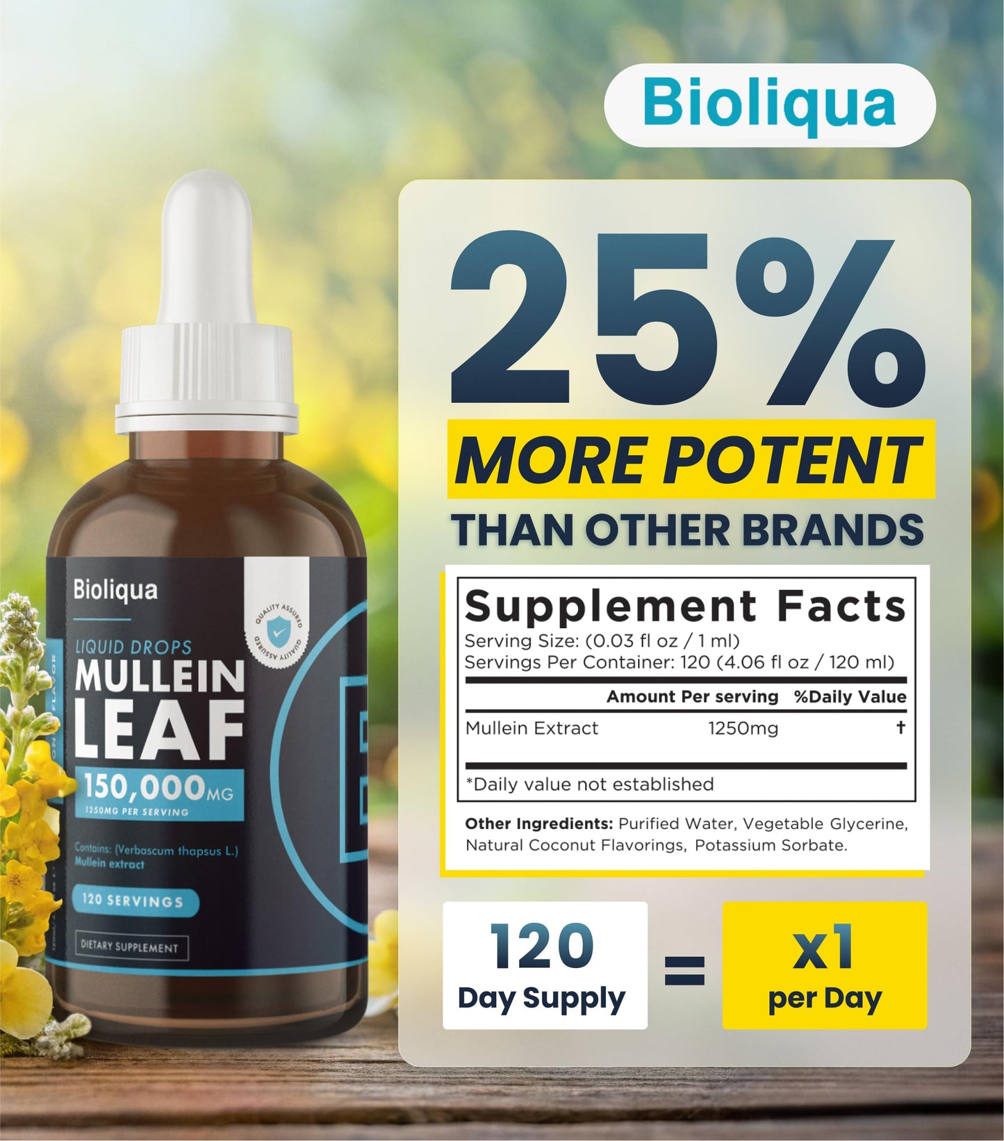 Bioliqua Mullein Drops for Lungs – 150,000mg/4oz, 120 Servings, Coconut Flavor