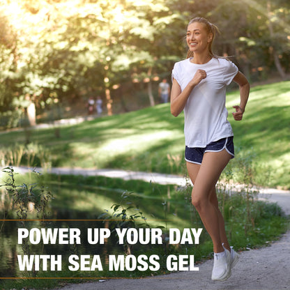 Biolore Sea Moss Gel with Shilajit – Mango Pineapple, 16 oz (Vegan, Gluten-Free)