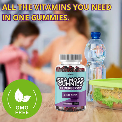 Biolore Sea Moss Gummies with Elderberry - Vegan Gummies for All Ages (60pcs)