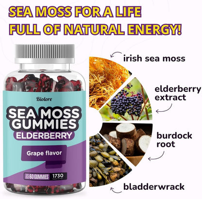 Biolore Sea Moss Gummies with Elderberry - Vegan Gummies for All Ages (60pcs)