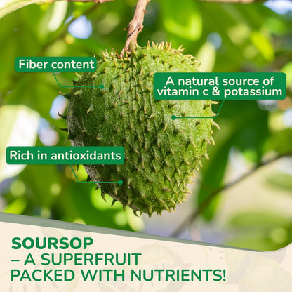 Biolore Soursop Graviola Gummies – 30 Days Supply, Sugar Free, Gluten Free, Vegan