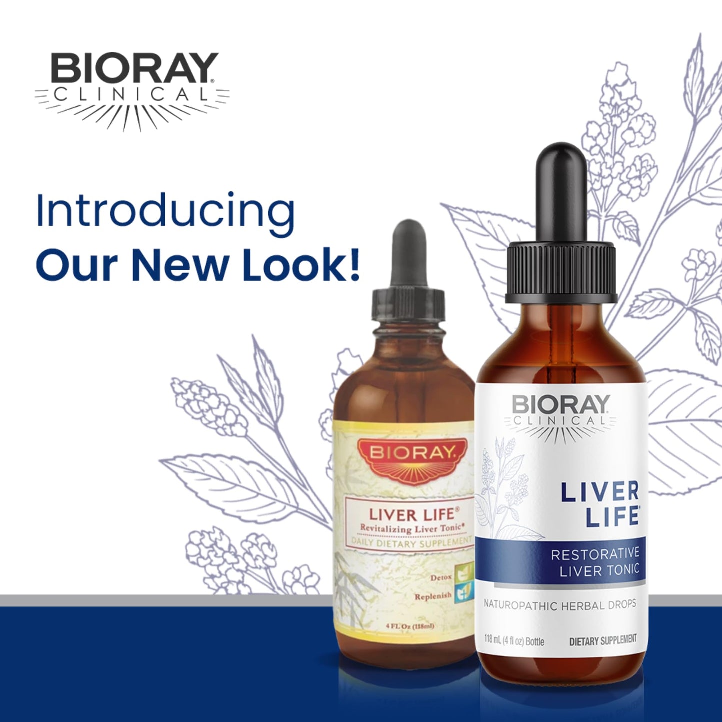 BIORAY Clinical Liver Life – Liver Support Tincture 4 oz | Non-GMO, Vegetarian, Gluten Free