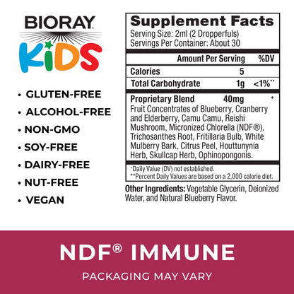 BIORAY Kids NDF Immune – Blueberry, 2 oz | Immune Support & Toxin Removal