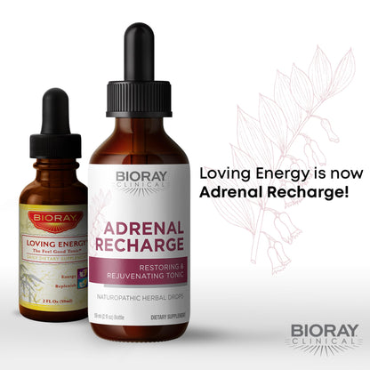 BIORAY Adrenal Recharge - 4 fl oz Tincture | Restoring & Rejuvenating, Non-GMO, Vegan, Gluten Free