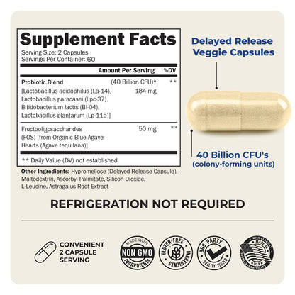 BioSchwartz Daily Probiotic – 40B CFU for Gut Health, 120 Count