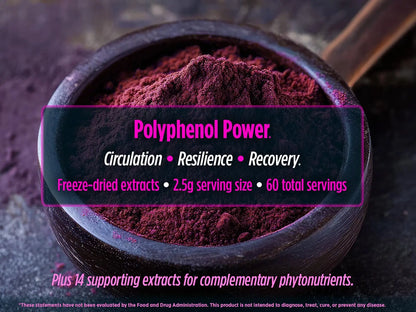 Biotest Superfood Berry-Dense Polyphenols – Blueberry, Raspberry, Strawberry & Maqui (30 Servings) BritishVita | Premium UK Vitamins & Wellness Supplements