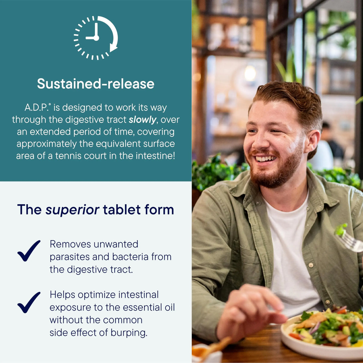 Biotics Research A.D.P. Emulsified Oil of Oregano Tablets – Sustained Release, High Absorption, 120 Tablets BritishVita | Premium UK Vitamins & Wellness Supplements