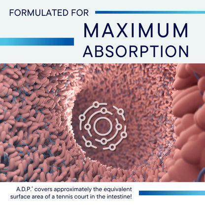 Biotics Research A.D.P. Emulsified Oil of Oregano Tablets – Sustained Release, High Absorption, 120 Tablets BritishVita | Premium UK Vitamins & Wellness Supplements