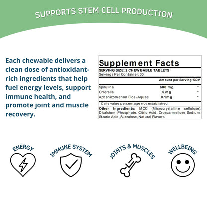 Bioxtron Natural Stem Cell Supplement Chewables – Spirulina, Chlorella, AFA | Energy, Immune & Joint Support | 60 Tablets (30 Servings)