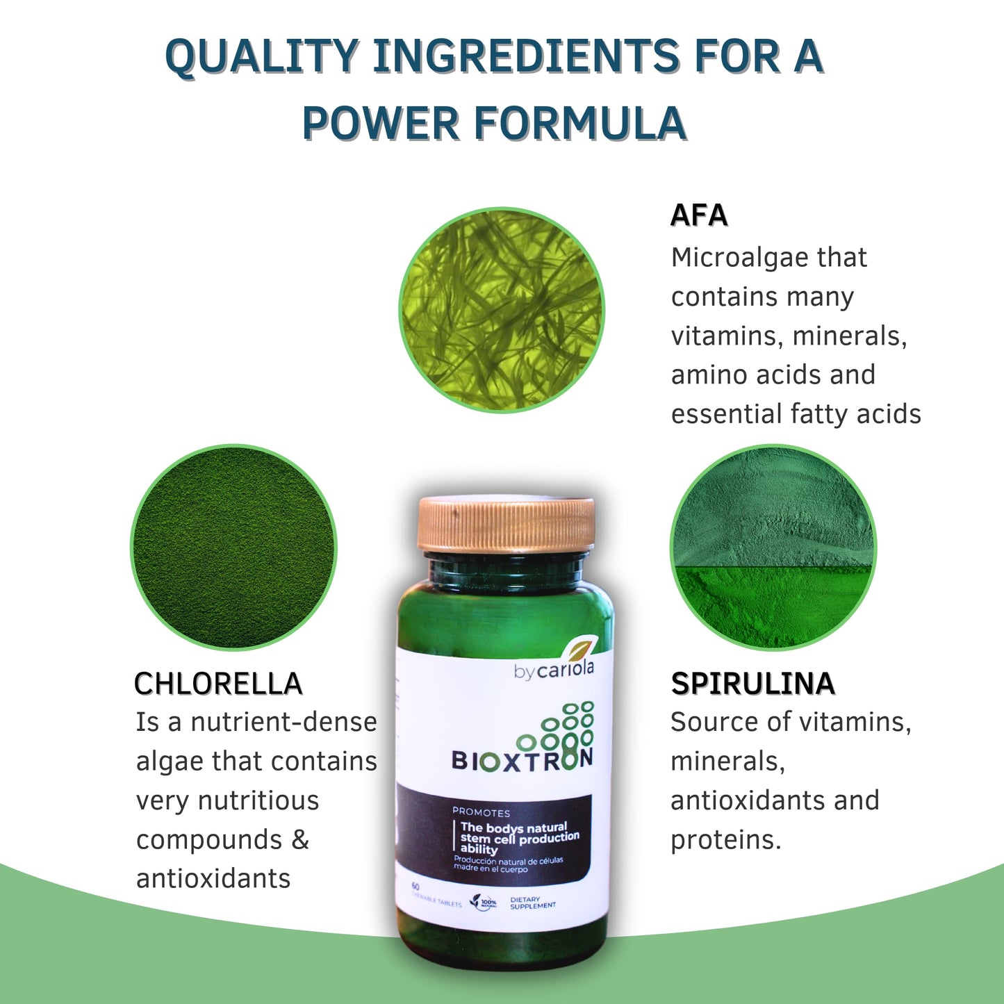 Bioxtron Natural Stem Cell Supplement Chewables – Spirulina, Chlorella, AFA | Energy, Immune & Joint Support | 60 Tablets (30 Servings)
