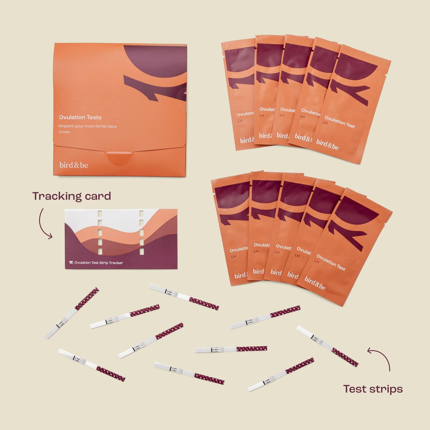 Bird&Be Ovulation Test Strips - Predictor Kit with 10 LH Strips | Over 99% Accurate