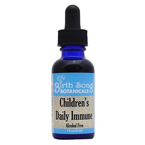 Birth Song Botanicals Children's Immune Tincture - Organic 1oz