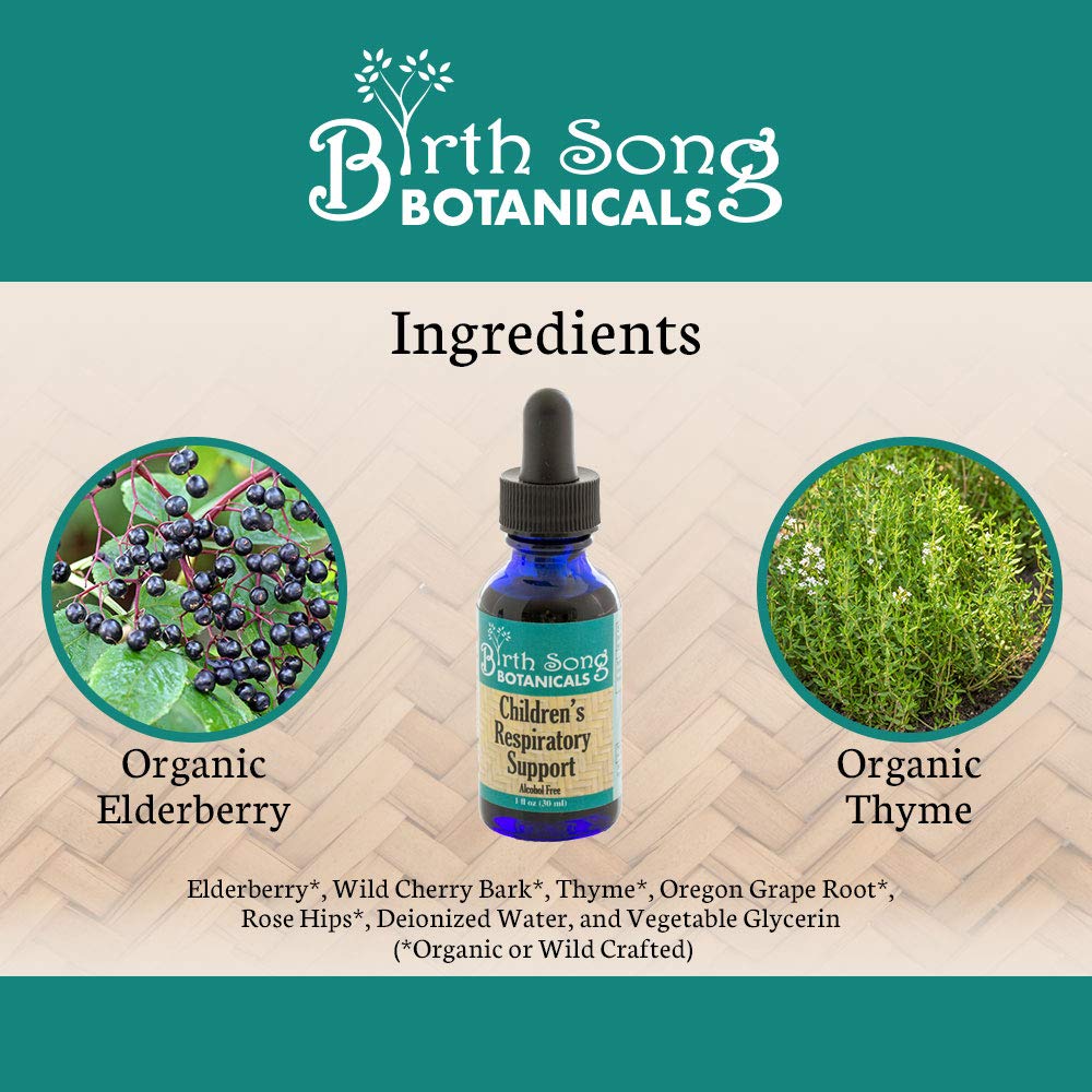 Birth Song Botanicals Children's Respiratory Support Tincture with Elderberry | Immune Support for Kids 1oz