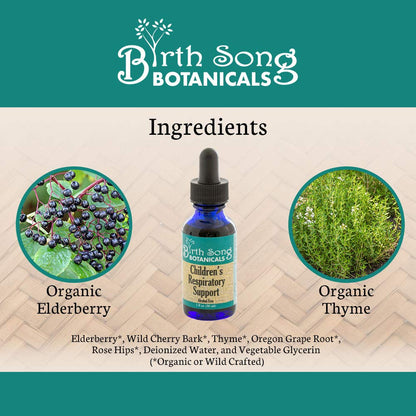 Birth Song Botanicals Children's Respiratory Support Tincture with Elderberry | Immune Support for Kids 1oz