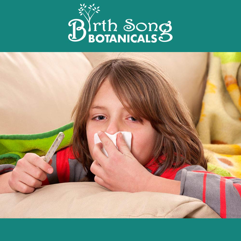 Birth Song Botanicals Children's Respiratory Support Tincture with Elderberry | Immune Support for Kids 1oz