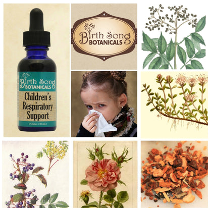 Birth Song Botanicals Children's Respiratory Support Tincture with Elderberry | Immune Support for Kids 1oz