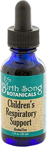 Birth Song Botanicals Children's Respiratory Support Tincture with Elderberry | Immune Support for Kids 1oz