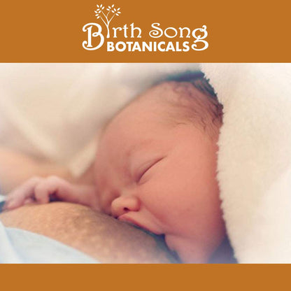 Birth Song Botanicals Let There Be Milk! Lactation Supplement for Breast Milk Supply – Fenugreek, Goat's Rue, Blessed Thistle | 60 Count