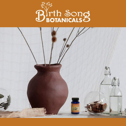 Birth Song Botanicals Let There Be Milk! Lactation Supplement for Breast Milk Supply – Fenugreek, Goat's Rue, Blessed Thistle | 60 Count