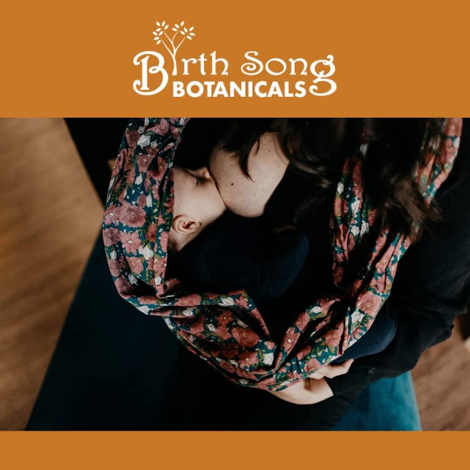 Birth Song Botanicals Let There Be Milk! Lactation Supplement for Breast Milk Supply – Fenugreek, Goat's Rue, Blessed Thistle | 60 Count