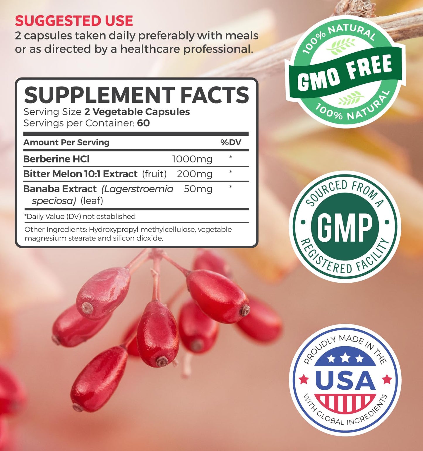 Berberine HCL Plus – Non-GMO & Vegetarian, 120 Veg Caps
