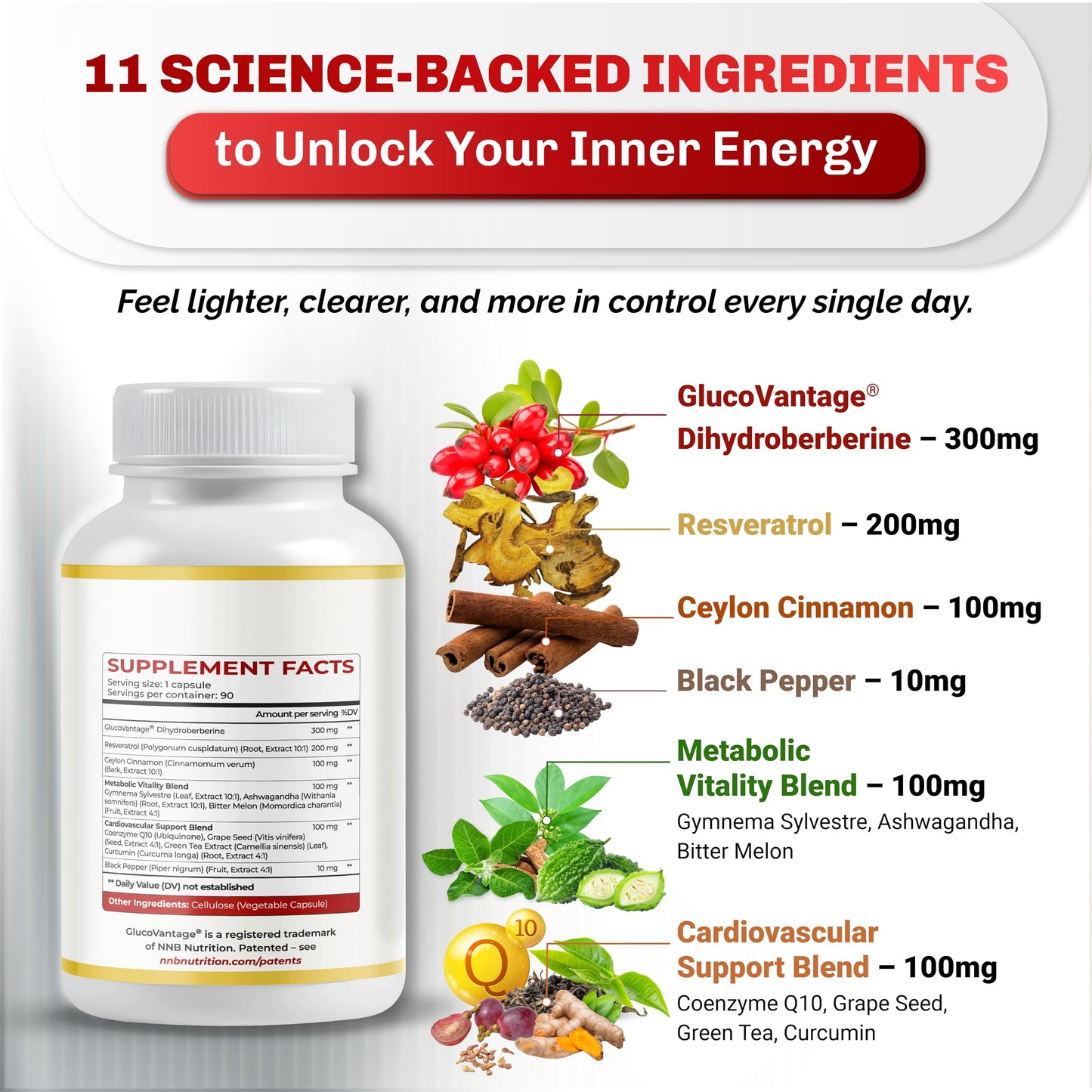 Dihydroberberine – Super Berberine 810mg with GlucoVantage | 5X Absorption | Made in USA | 90 Count