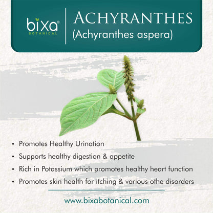 Bixa Botanical Achyranthes Aspera Powder – 200 g | Gluten Free & Vegan