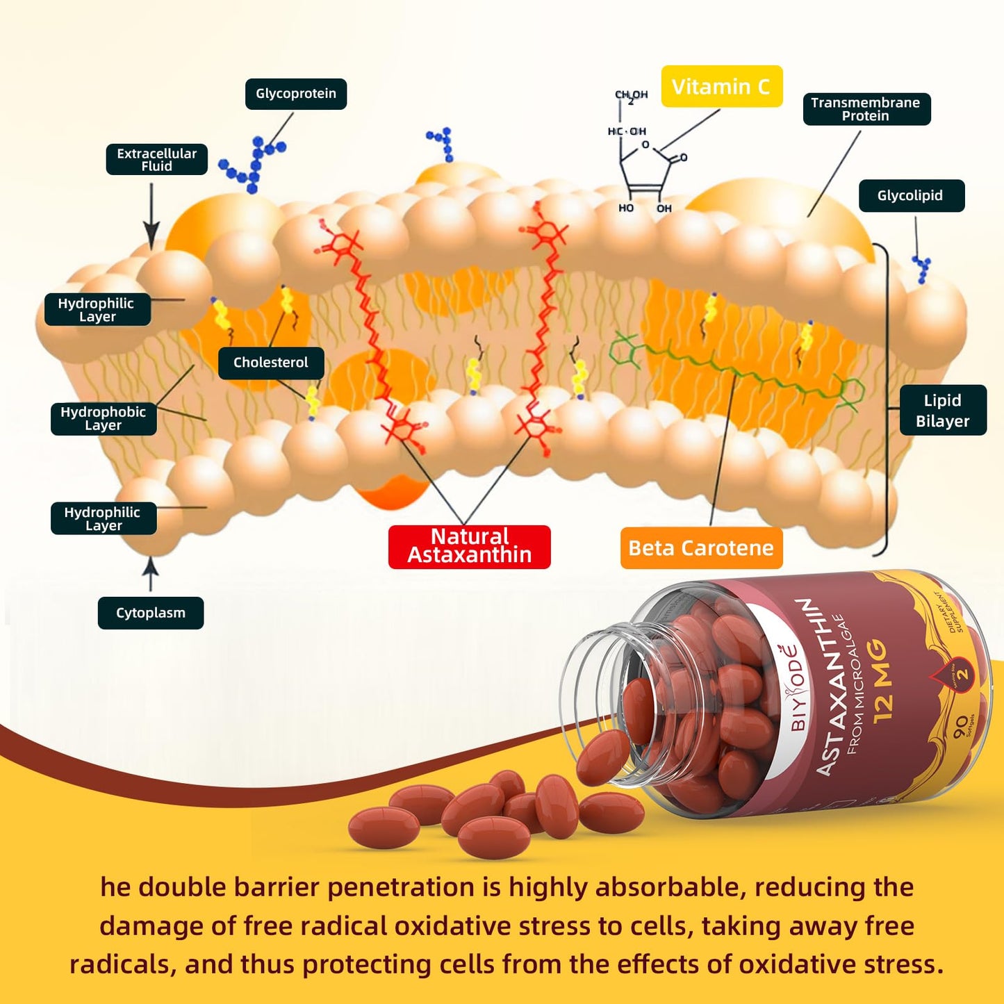 BIYODE Astaxanthin 12mg Softgels – High Potency Antioxidant (90 Softgels)