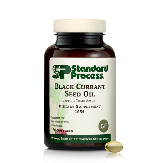 Standard Process Black Currant Seed Oil Dietary Supplement – Gluten-Free Immune & Tissue Support | 180 Softgels BritishVita | Premium UK Vitamins & Wellness Supplements