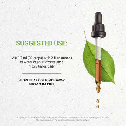 Black Elderberry USDA Organic Tincture | Alcohol-Free, High-Potency Herbal Drops (2 oz)